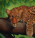 First Glance, original oil painting of an African leopard by Eugenia Talbott