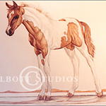 Portrait of Eve, original watercolor painting of a half Arab Pinto filly by Eugenia Talbott