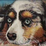 5 x 7 miniature oil on canvas, portrait of a Miniature Australian Shepherd, Nitro, beloved dog of Gloria and JR Rodriguez