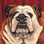 Portrait of a bulldog, oil painting by Eugenia Talbott