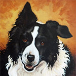 22 x 28 oil on canvas, portrait of a Border Collie, Willy