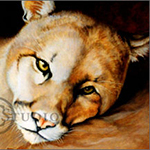Portrait of Zack, oil painting of a mountain lion by Eugenia Talbott