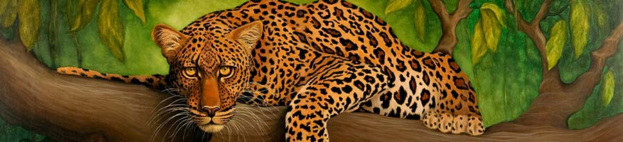 Detail image of Leopard, original oil painting by artist Eugenia Talbott